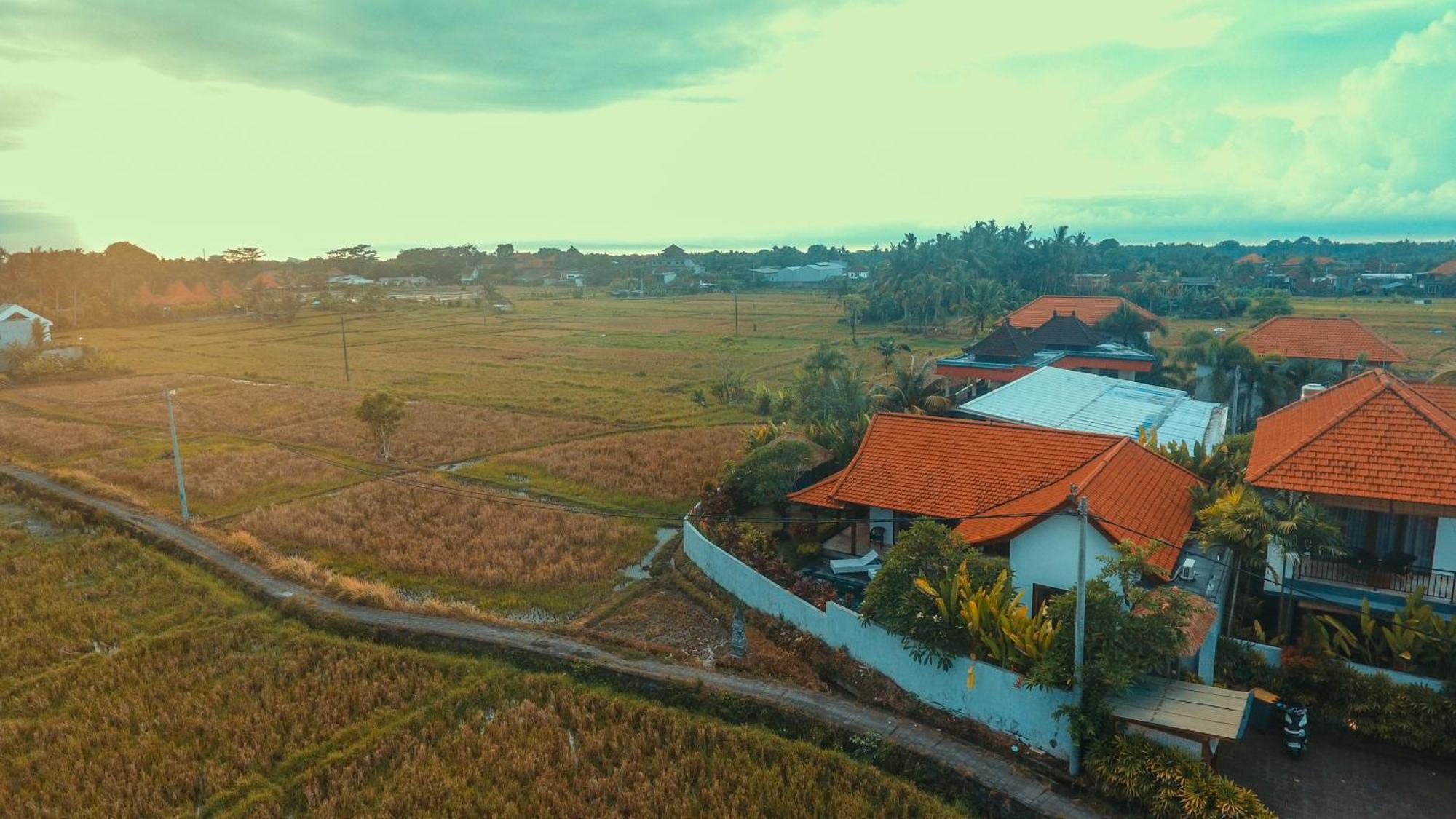 Villa Maya Ubud, Peaceful Rice Field View ภายนอก รูปภาพ