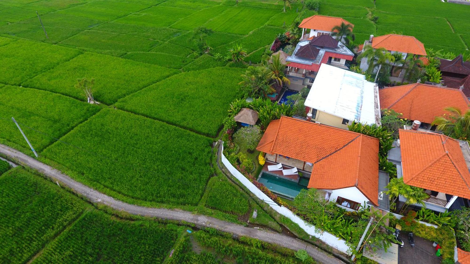 Villa Maya Ubud, Peaceful Rice Field View ภายนอก รูปภาพ