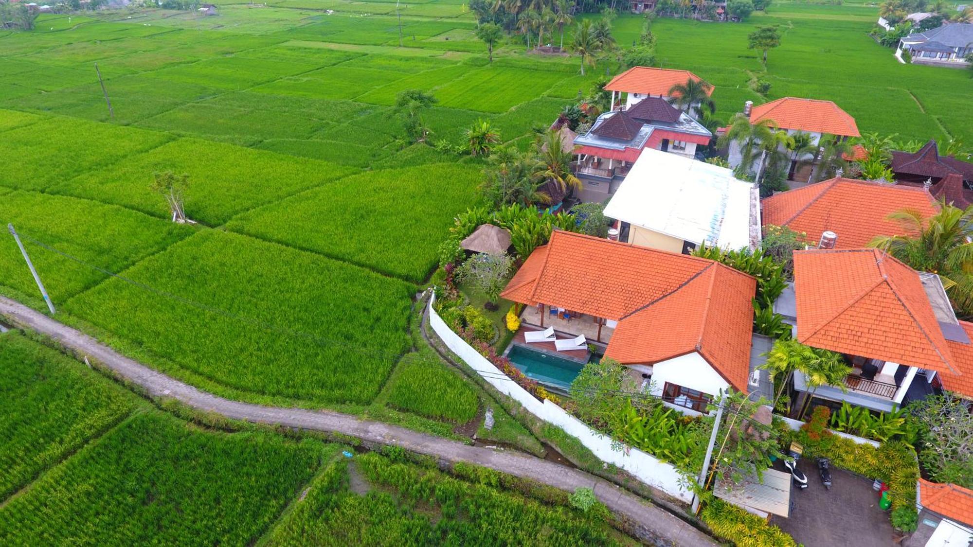 Villa Maya Ubud, Peaceful Rice Field View ภายนอก รูปภาพ